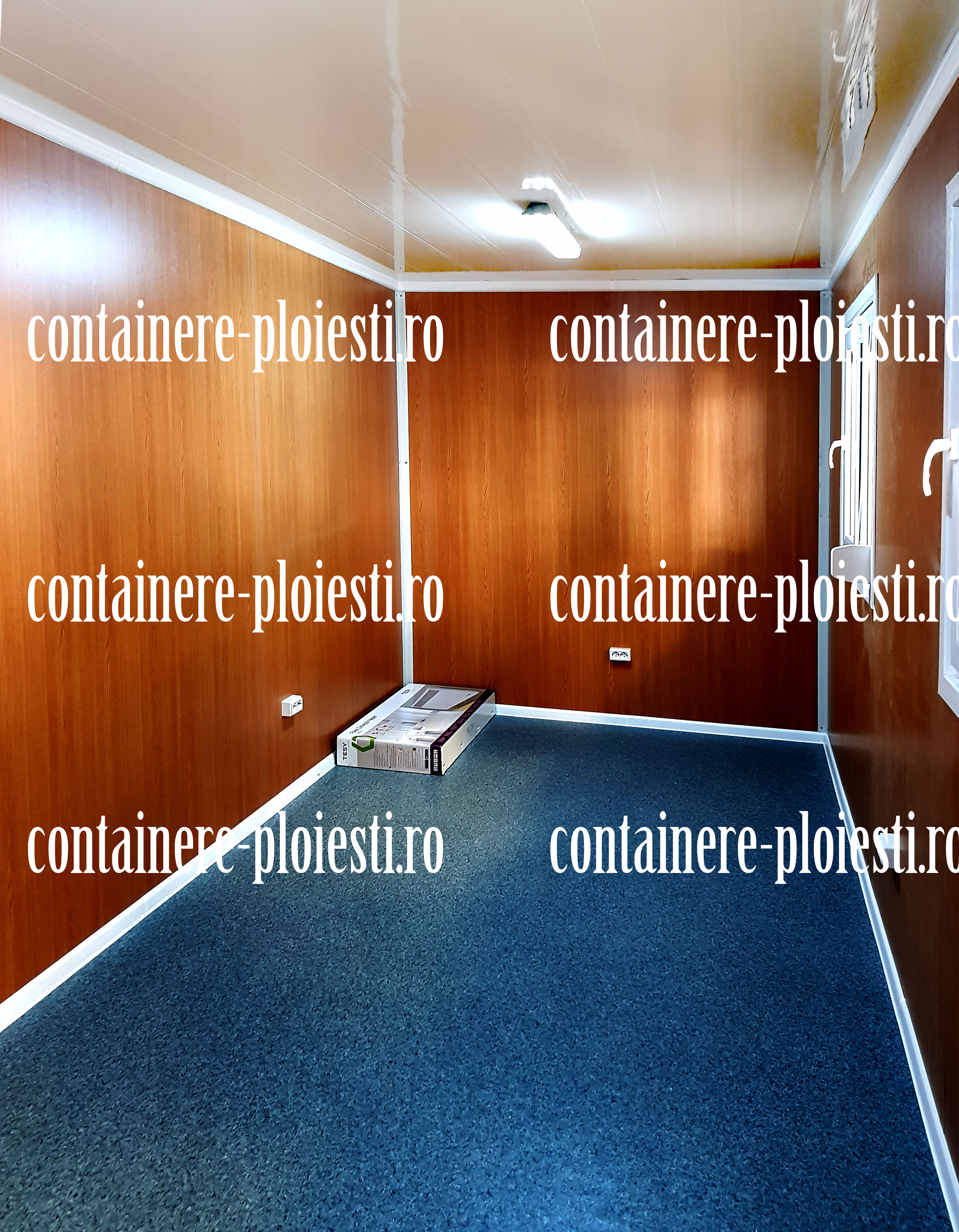 cat costa un container Ploiesti